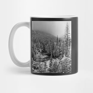 McDonald Falls, Glacier N.P. Mug